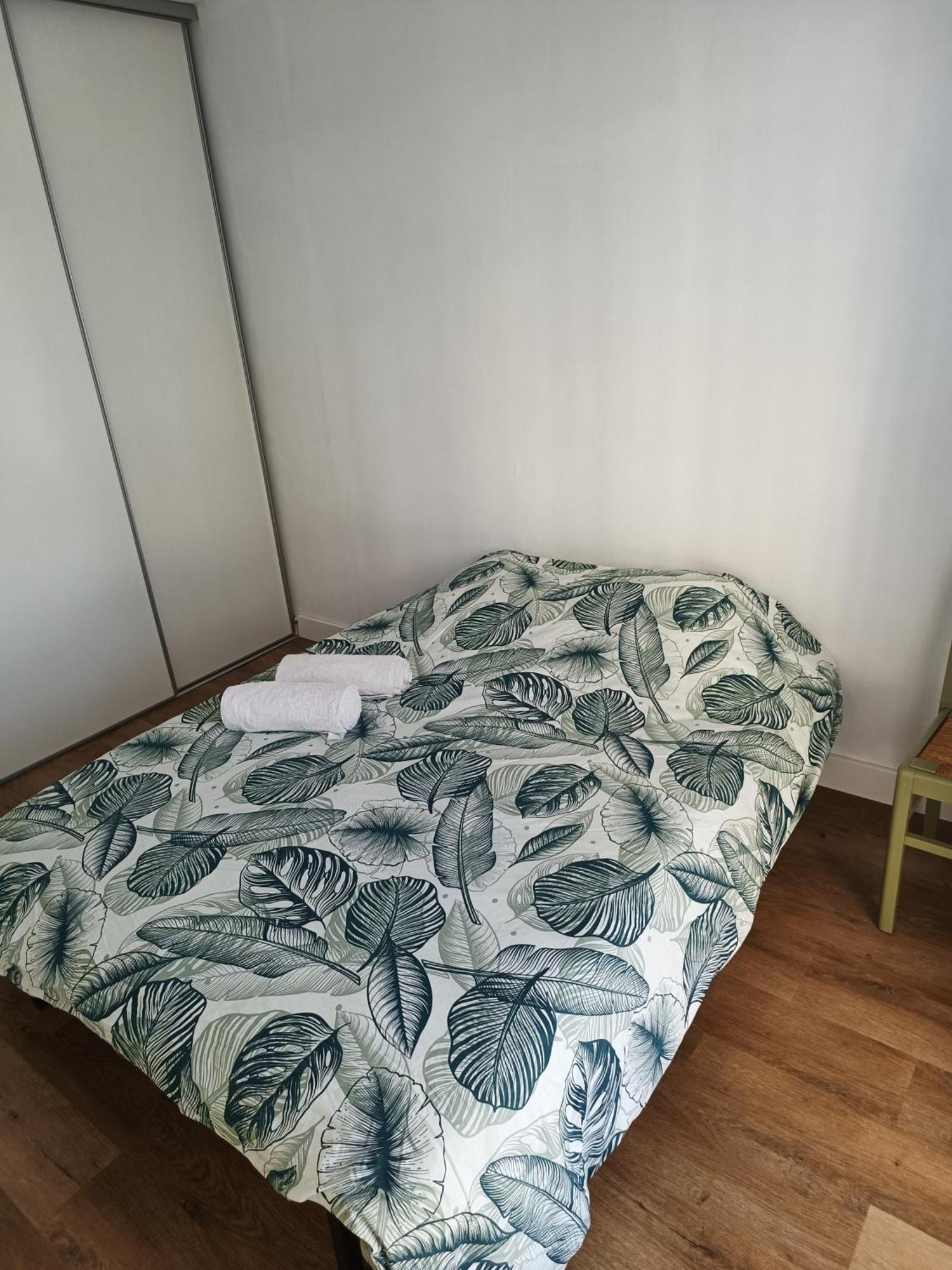 Appartement Proche Centre Ville / 3 Chambres 佩皮尼昂 外观 照片